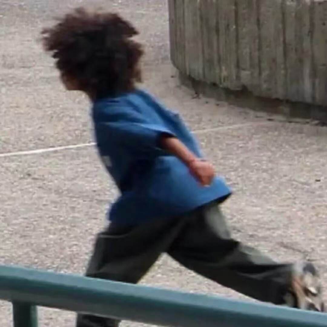 蓝莓脱肥的头像